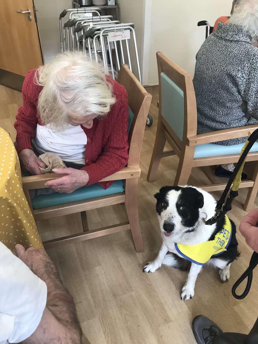 BestwoodW's tweet photo. Read the Position Statement on Loneliness from https://t.co/PVS2lQccBN to hear about animal assisted therapy. Now meet our latest recruit to Bestwood; Molly 🐶It was mutual attraction at first sight. #PreventLoneliness #EnhanceRelationshipsDelayCare @HcopTeam @BeverleyBrady10 https://t.co/6vSYSyWDQ5