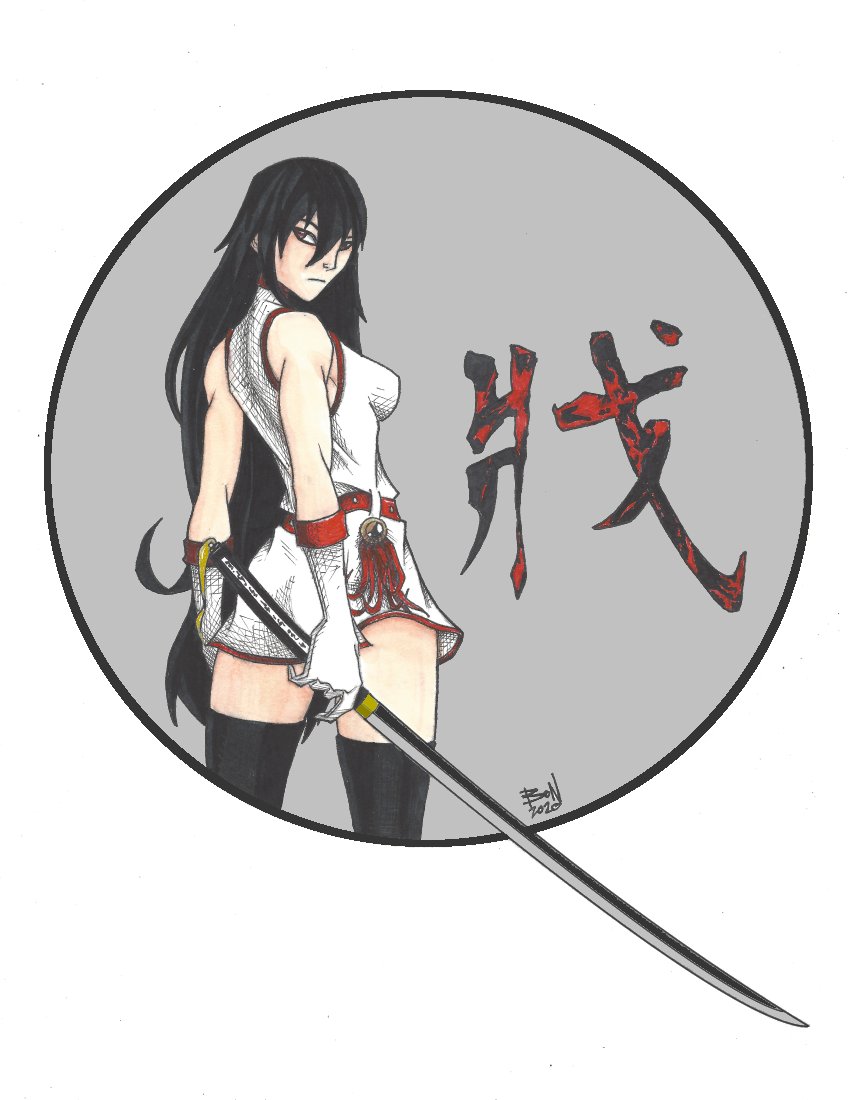 Akame~Akame ga Kill Zero  Anime warrior girl, Anime warrior