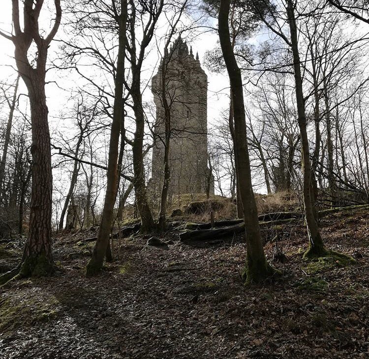TheWallaceMon's tweet image. The view as you ascend the Abbey Craig… Did you know stone quarried from the Abbey Craig was used in the building of the #WallaceMonument? It’s still possible to see some of the quarries today. IG/ ryan_deblock #Stirling #VisitScotland
