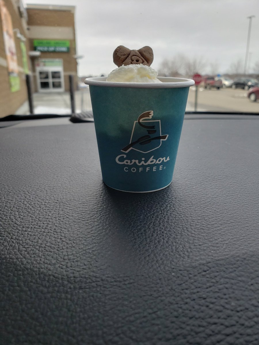 rhagz3131's tweet photo. Maya loves @cariboucoffee time as much as I do. She not only gets to go on a R-I-D-E, but the baristas know her friendly face. She patiently waits for her pup cup until we get home. #LifeIsShort #StayAwakeForIt https://t.co/pciVpIHHPg