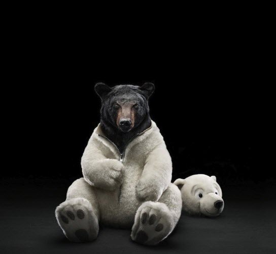 just when you thought he was gone...