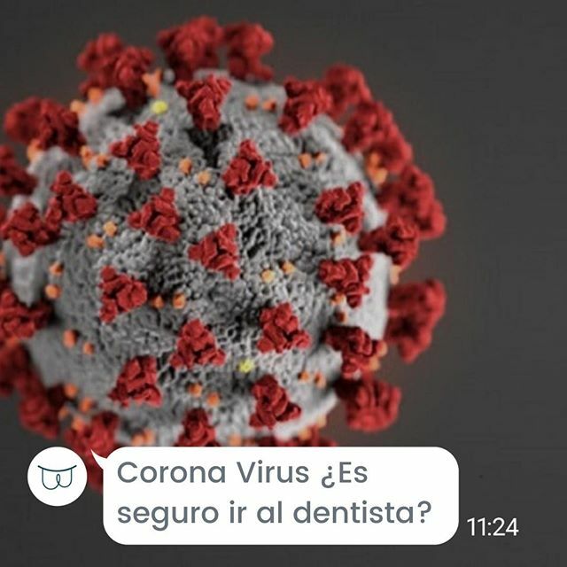 BocusDental's tweet photo. Con el brote de COVID-19, el famoso "Corona Virus", estamos todo un poco preocupados.😟⠀
󠀠󠀠.⠀
Es normal que tengamos dudas con respecto asistir a zonas públicas, con mucha afluencia de personas👨‍👩‍👧‍👦 y hasta nos empezamos a questionar si deberíamos asist… https://t.co/H81gAnsz5i https://t.co/XzDh4JC1oB