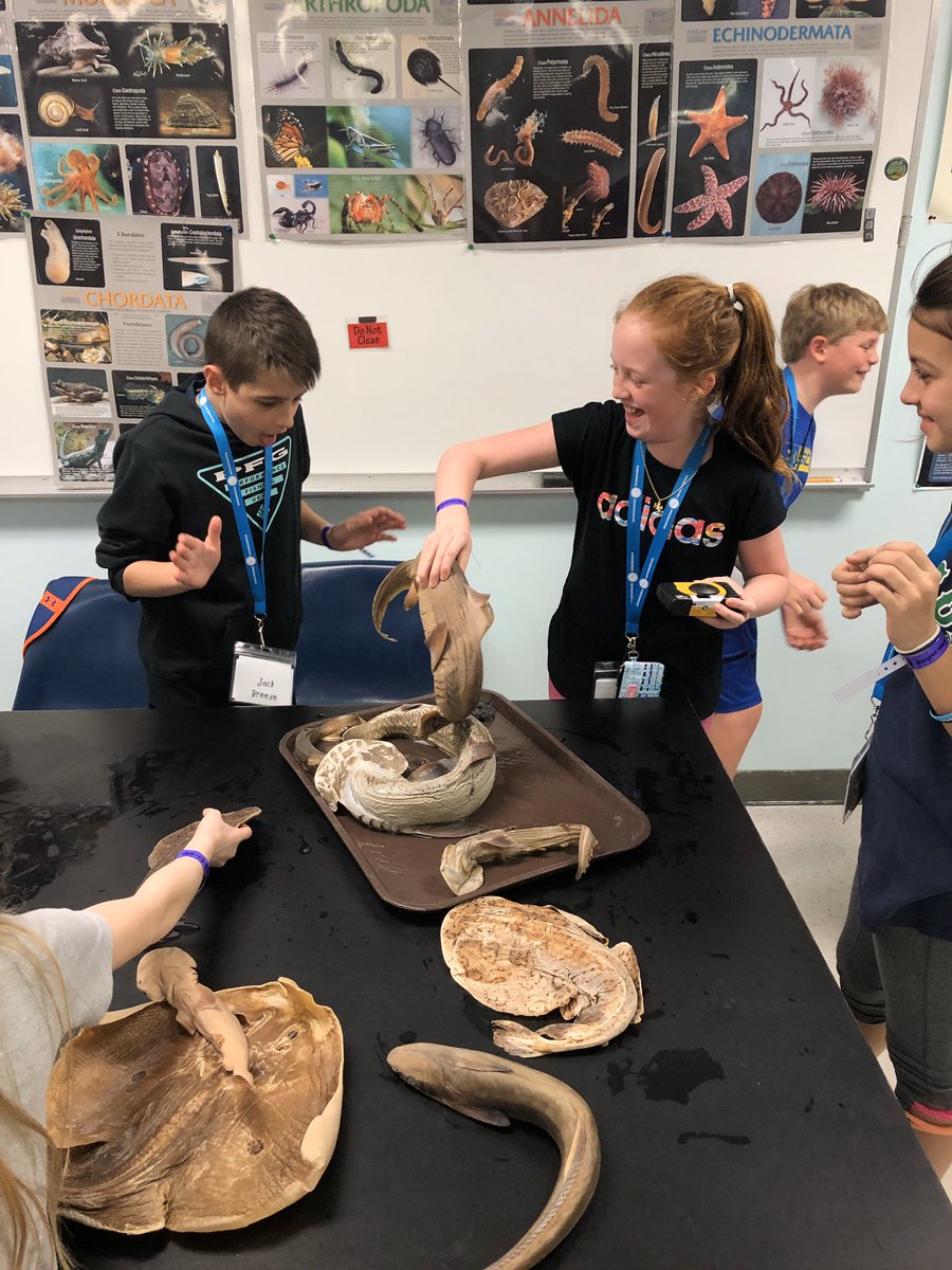 BluffParkCounselor tweet media