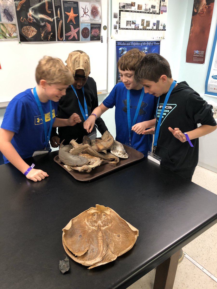 BluffParkCounselor tweet media