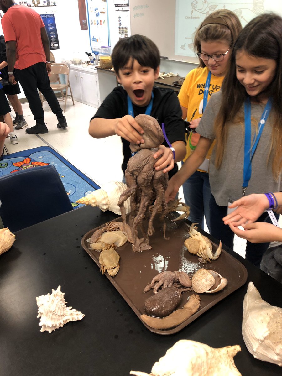 BluffParkCounselor tweet media