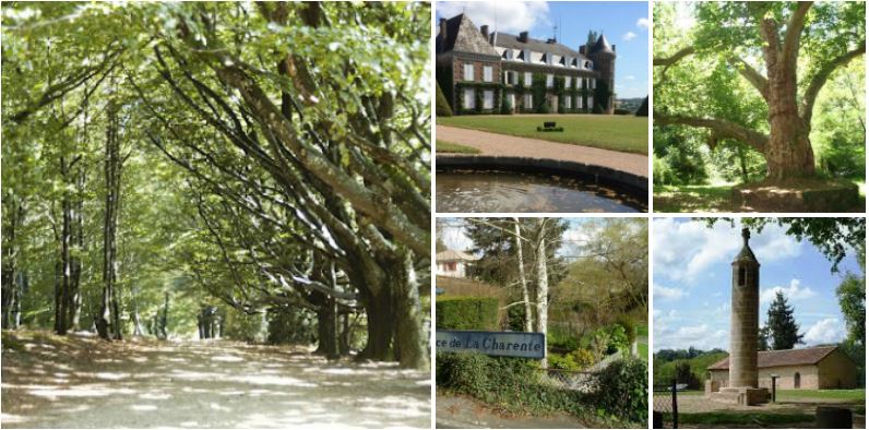 BikeHireDirect's tweet photo. New #TravelBlog : If you are looking for the perfect bike ride in #Limousin - check out this guide to " Five Easy Cycle Routes in #HauteVienne " by David at @HV87Bikes https://t.co/ZZGonUMQll

#Limoges #NouvelleAquitaine #France #BikeHireDirect #French #DispoVelo https://t.co/feg9kqzqE5