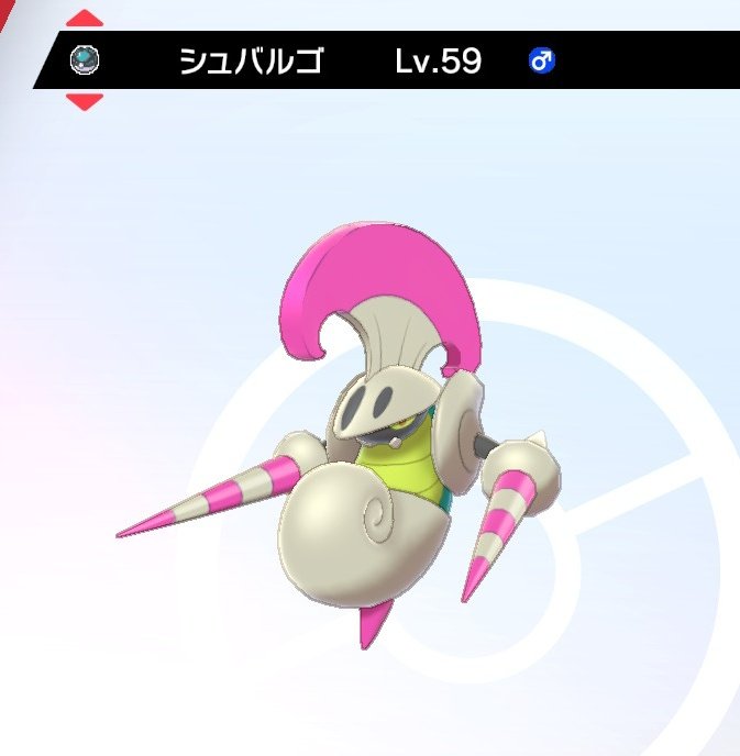 パラダイスヘッド Para Heddo Twitter パラダイスヘッド Para Heddo Twitter