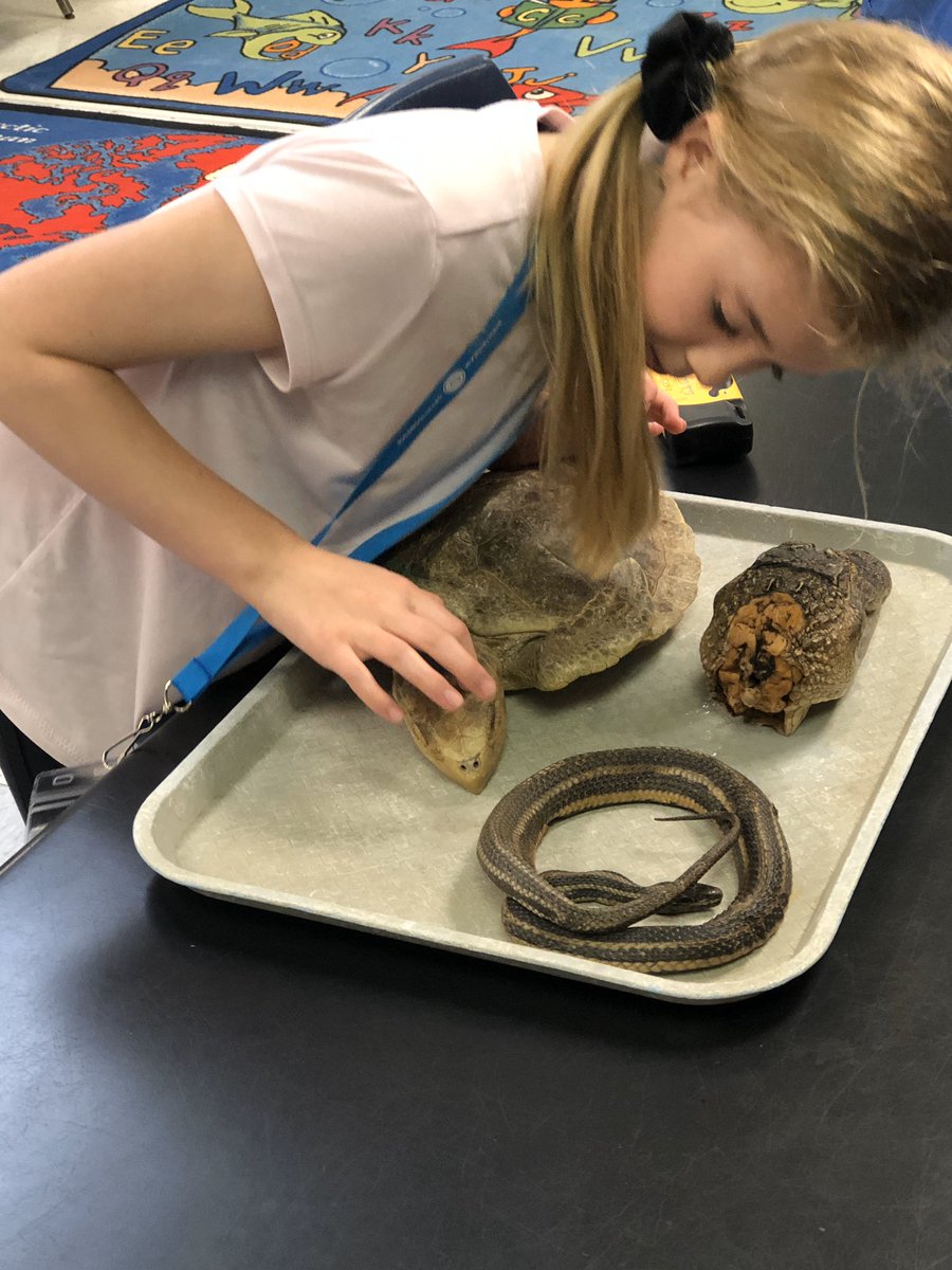 BluffParkCounselor tweet media