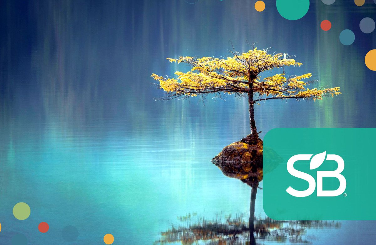 5 Tips for Leaders Who Want to Create a Strong Sustainability Culture buff.ly/2Nea1cv #leadership #LeadershipMatters #Sustainability #sustainableworld