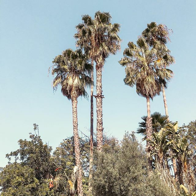 EmilyKFarina's tweet photo. Finally some clear skies after the rare rain we’ve been having in San Diego. Hopefully that May Gray and June Gloom isn’t coming early this year. https://t.co/qxqdA1A8oZ https://t.co/uCGcvSCydt