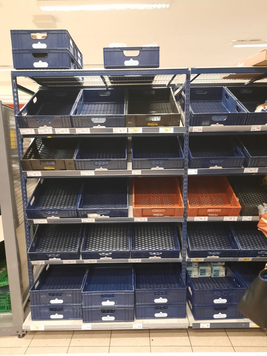 Stinus Lindgreen tweet media