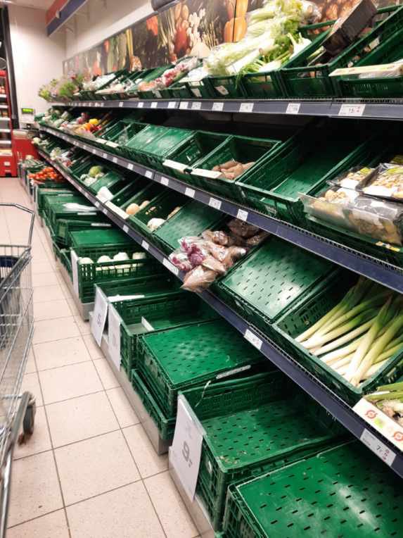 Stinus Lindgreen tweet media