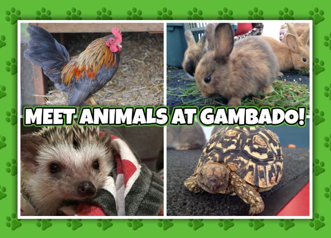 Meet adorable animals at our Animal Event! Our friends at Ark Farm will be bringing animals in to interact with - plus the children will all enjoy loads of #SoftPlay fun and a delicious meal :) ow.ly/j9Ch50yJpFU #Watford #Parenting #SoftPlay