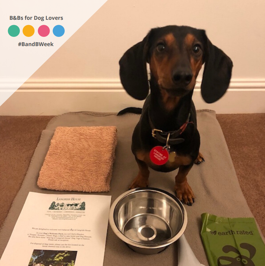 Fancy a #staycation for you and your furry best friend? Langrish House is the #petfriendly B&amp;B of your dreams! In the heart of the South Downs National Park, this #ruralretreat offers a ‘Welcome Pack’ with dog treats, a blanket, a fluffy towel &amp; more! #BandBWeek
<a href="/VisitHampshire/">Visit Hampshire</a>