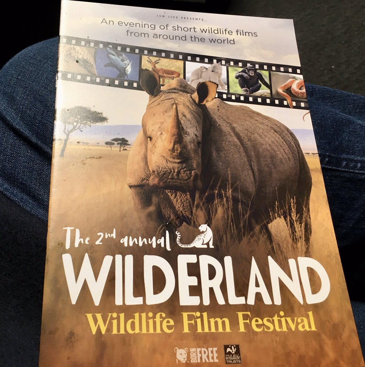 This is an absolute treat. Some amazing films tonight <a href="/RGS_IBG/">Royal Geographical Society (with IBG)</a>. Check out the tour if you can. Thanks <a href="/WilderlandFest/">Wilderland Wildlife Film Festival</a> &amp; <a href="/JoSarsby/">Jo Sarsby Management</a>! 👍🏼🐿