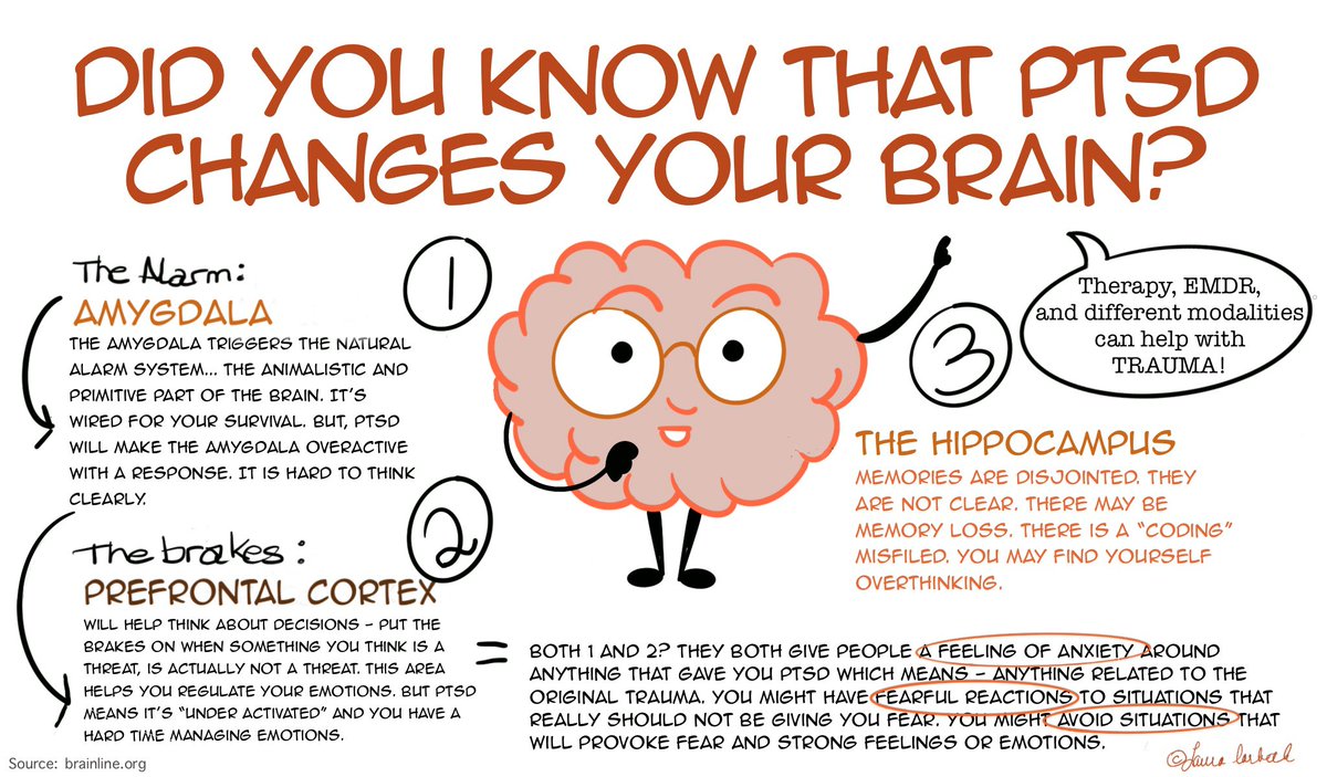 laura_corbeth's tweet photo. #PTSD and #trauma changes our brain. These are 3 areas of the brain that trauma affects.

#CPTSD
#neuroscience
#Education
#Therapy
#EMDR
#Journal https://t.co/0PDnhInQkI