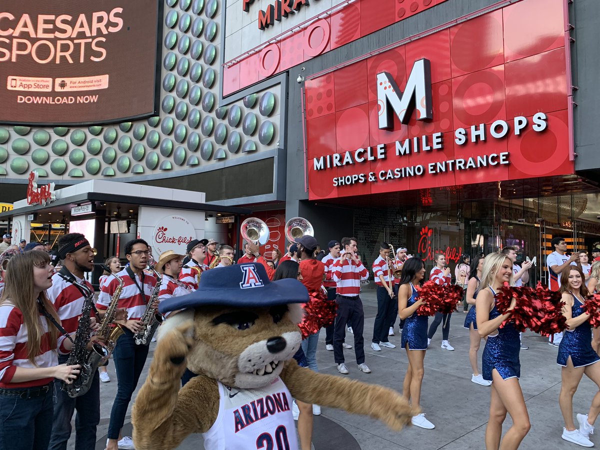 Arizona Alumni 😺🐾 tweet media