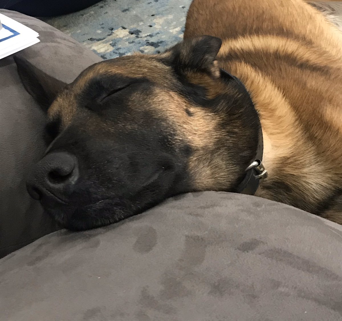 March Madness games at school are exhausting! Fun, but exhausting!