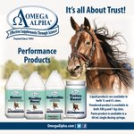 Photo by Omega Alpha Equine (@OmegaAlphaEQ)