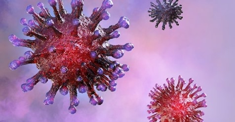 TimeImaging's tweet photo. Coronavirus Myths and Facts

https://t.co/ZI3321YFH5

#coronavirus #coronavirushouston #coronavirustexas #Houston https://t.co/Zben5rNO1H