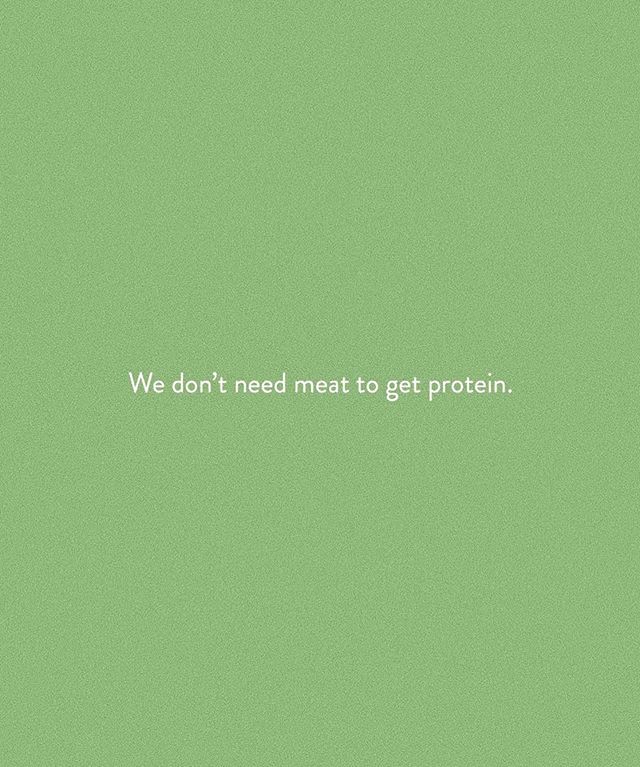 Real Food Daily tweet media