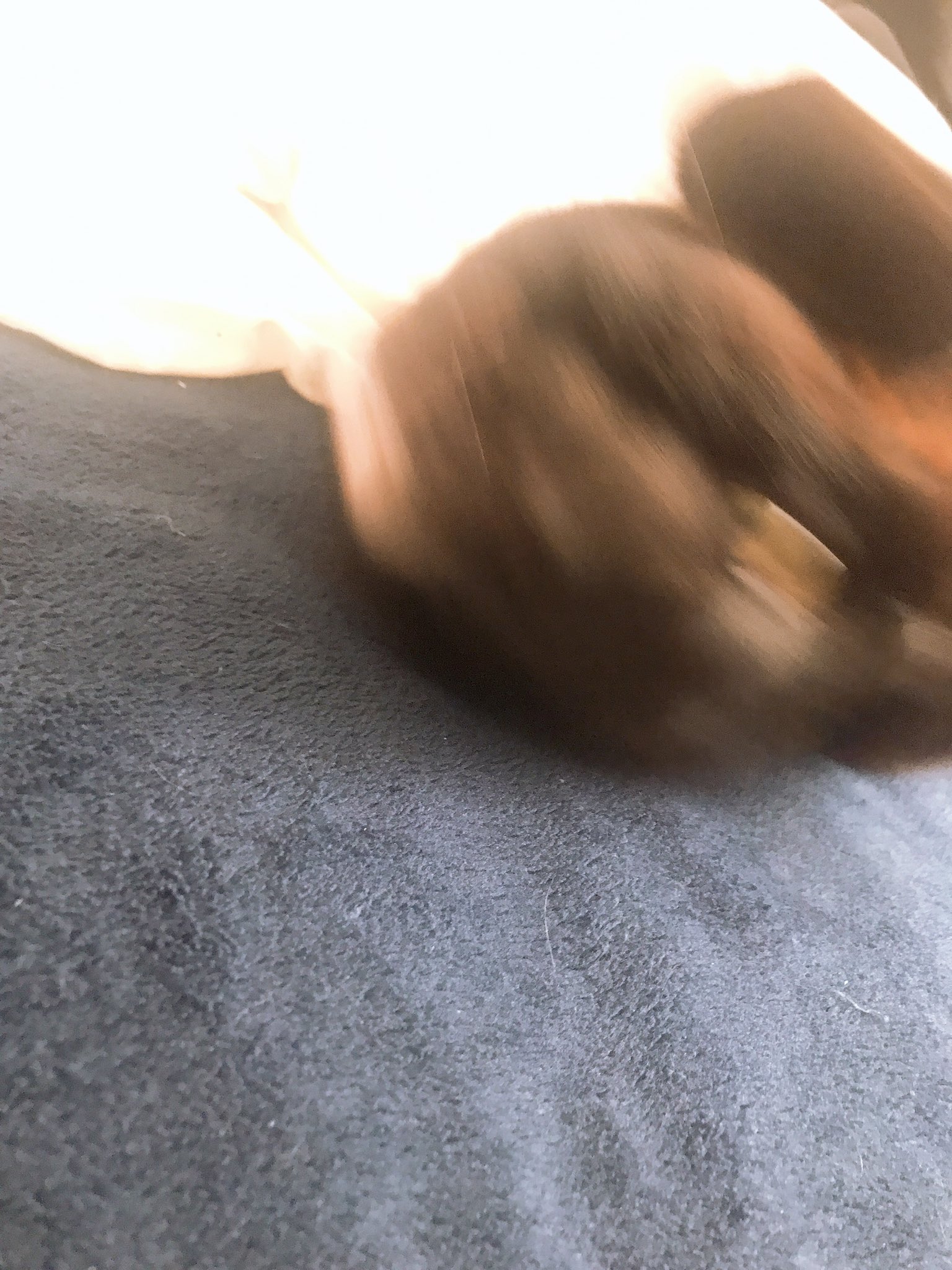 ট ইট র 山下 華蓮 これぞキャッツアイて感じのお目目 きらきら きれいね と思った瞬間暴れ毛玉になった かわいいなあ もう 癒されました