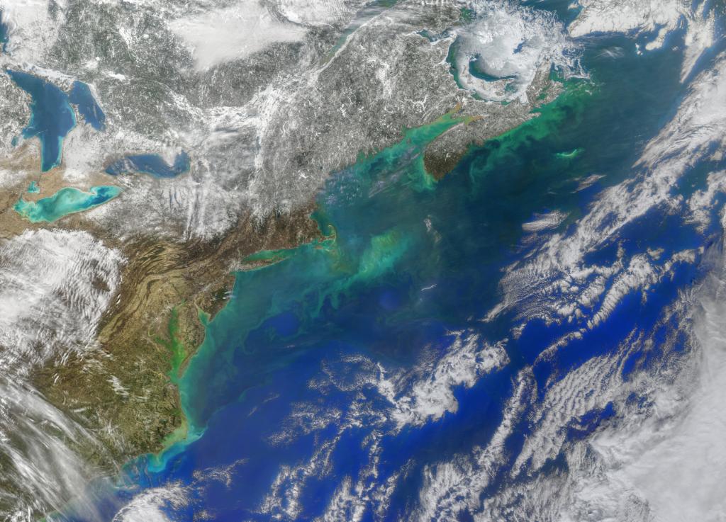 NASA's tweet photo. Meteorological spring has sprung in the Northern Hemisphere, waking up lively swirls of phytoplankton in North Atlantic Ocean. Like plants on land, the primary producers of the sea need sunlight and nutrients to thrive. Springtime brings both:
https://t.co/KP2JyB1tOr https://t.co/2887HNequk