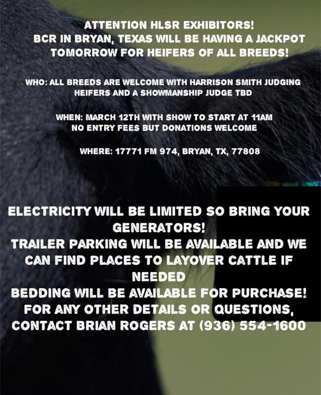 hensoemi's tweet photo. 🚨Heifer show tomorrow in B/CS🚨 
Volunteers &amp; Donations needed. https://t.co/SE8rsjGhKj