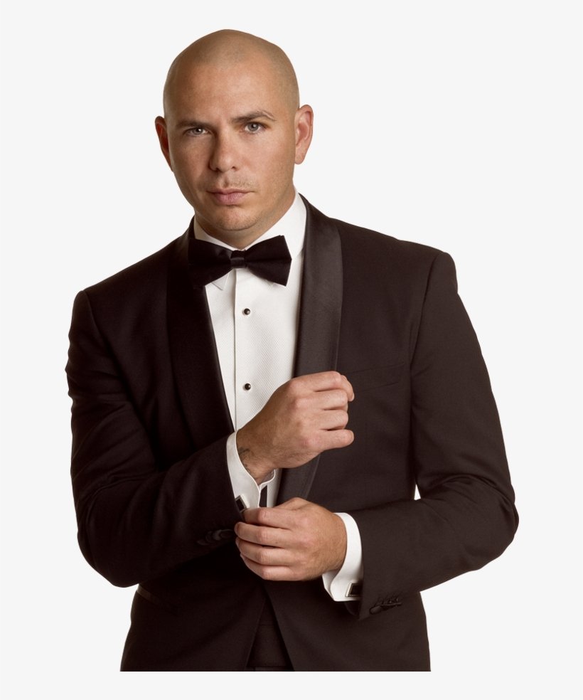 YOU DID NOT JUST SAY I LOOK PITBULL.