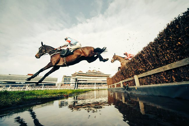 BuzJay's tweet photo. #SaintCalvados aka ColtSeavers
@Harry_Whitt @Ikarine
@MayBuez
THE RAIDER IS BACK in the RyanairChase 🐎 #BuZzPower 
#CheltenhamFestival2020 https://t.co/2EXgQfKnEt