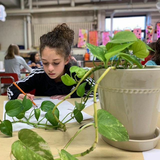 GregoryArtists's tweet photo. 🌱✨ https://t.co/xubyhEcZ9b https://t.co/i672RDZe0q