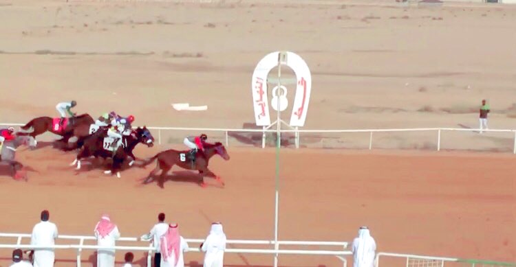MrFaisalBinNaif's tweet photo. حقق الجواد الصحيب لاسطبل فيصل بن نايف الشاطري المركز الاول بقيادة الخيال المتألق دائماً علي المتعب ولله الحمد والمنه على ماحققناه من انتصارات هذا الموسم https://t.co/KNdqo474yq