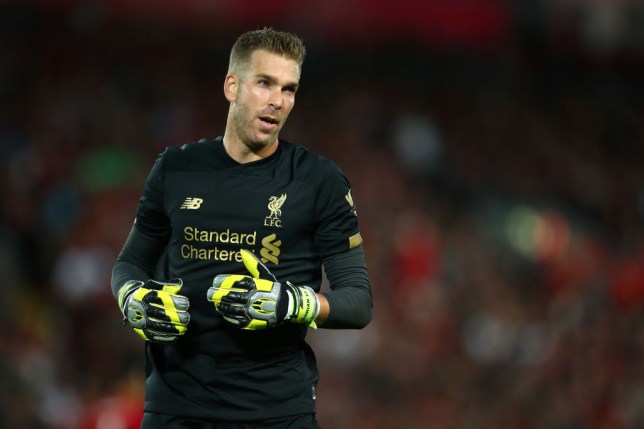 BeWarmers's tweet image. Who’s a better goalkeeper? 

RT for BIG Mike. 
Like for Adrián.

#LIVATL