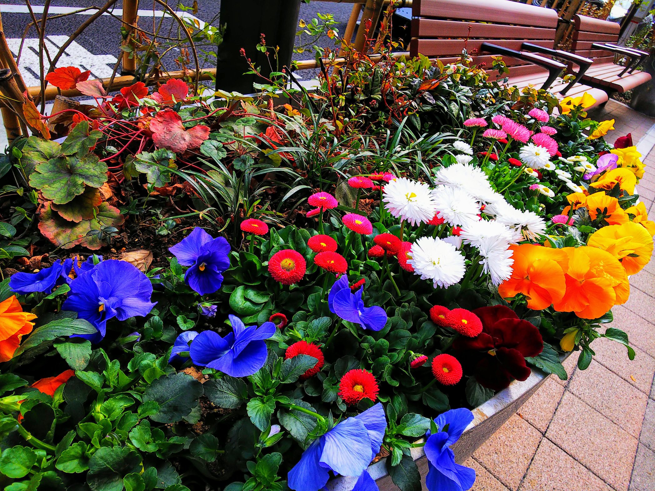 花咲く街角 Twitter Search Twitter