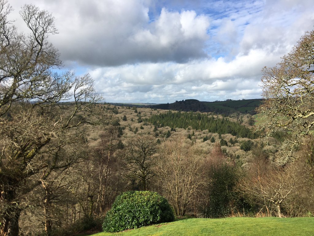 DM Chang tweet media