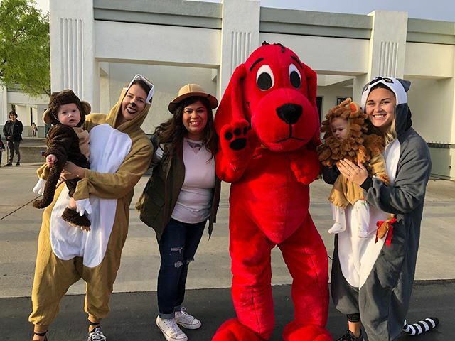 CESChampions's tweet photo. There is still time to check out the Jungle Book Fair! Open tonight 6-7 for Literacy Night. #scholasticbookfair https://t.co/NkhQfSNKBI https://t.co/fMcZQLiQs5