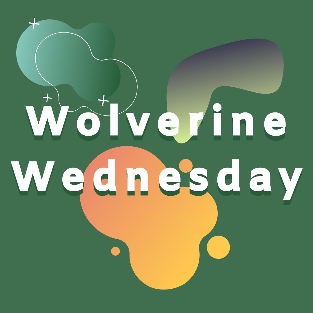 gogreenuvu's tweet photo. WOLVERINE WEDNESDAY: This week we are experimenting with https://t.co/h6uHyiDlwd - a free color scheme generator that is easy to use and gives you unlimited options! Give it a try. It's very cool, get it? 😎 https://t.co/egEnSaeSrg