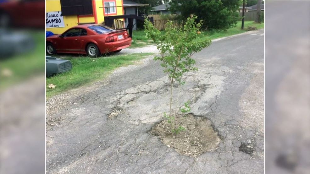 miroadssuck's tweet photo. Happy #JohnnyAppleseedDay! This solution is genius; save the planet and fill potholes at the same time 😆
#potholes #fixtheroads #michiganroadssuck #PureMichigan #Michigan https://t.co/3xiq3xoj4b