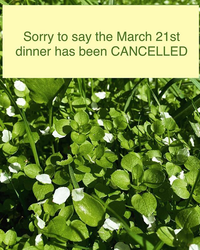 ChefMariko's tweet photo. Hello all, unfortunately my next pop up dinner on March 21st has been cancelled due to reasons I think we all know. So sorry to disappoint, but we plan to pick it up in the future once everything settles down so keep an eye out for another announcement. … https://t.co/8peXOh5zyf https://t.co/l3WyYmRukc