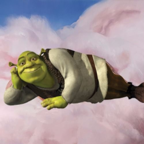 Handsome shrek meme  Goofy pictures, Aurora sleeping beauty, Shrek