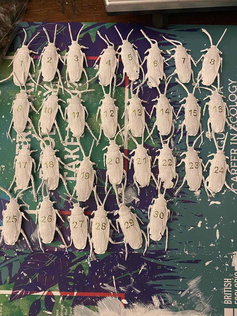 iamchloerussell's tweet photo. My #mealybug team for a science activity based on Cacao Swollen Shoot Virus #CSSV #scicomm https://t.co/g1bgl63nsR