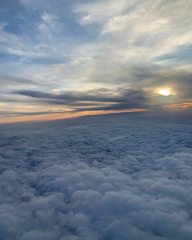 MontryPro's tweet photo. Sunset From The Clouds
•
•
•
#capture #sky #skyshot #clouds #sunset #travel #travelohotography #cloudshot #atlanta #atlantageorgia #flying #skyhigh #brennanmontry #travelpic #sunsetfromtheclouds https://t.co/2z6KAKI20s https://t.co/U8WpYa7BeQ