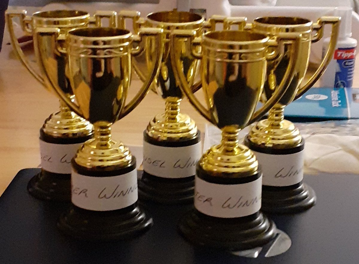 missmeechansci's tweet photo. Trophies For My S1 & S2 Poster Winners π#strathpgde #studentteacher #placement3 #winning https://t.co/zkdJOwr76H