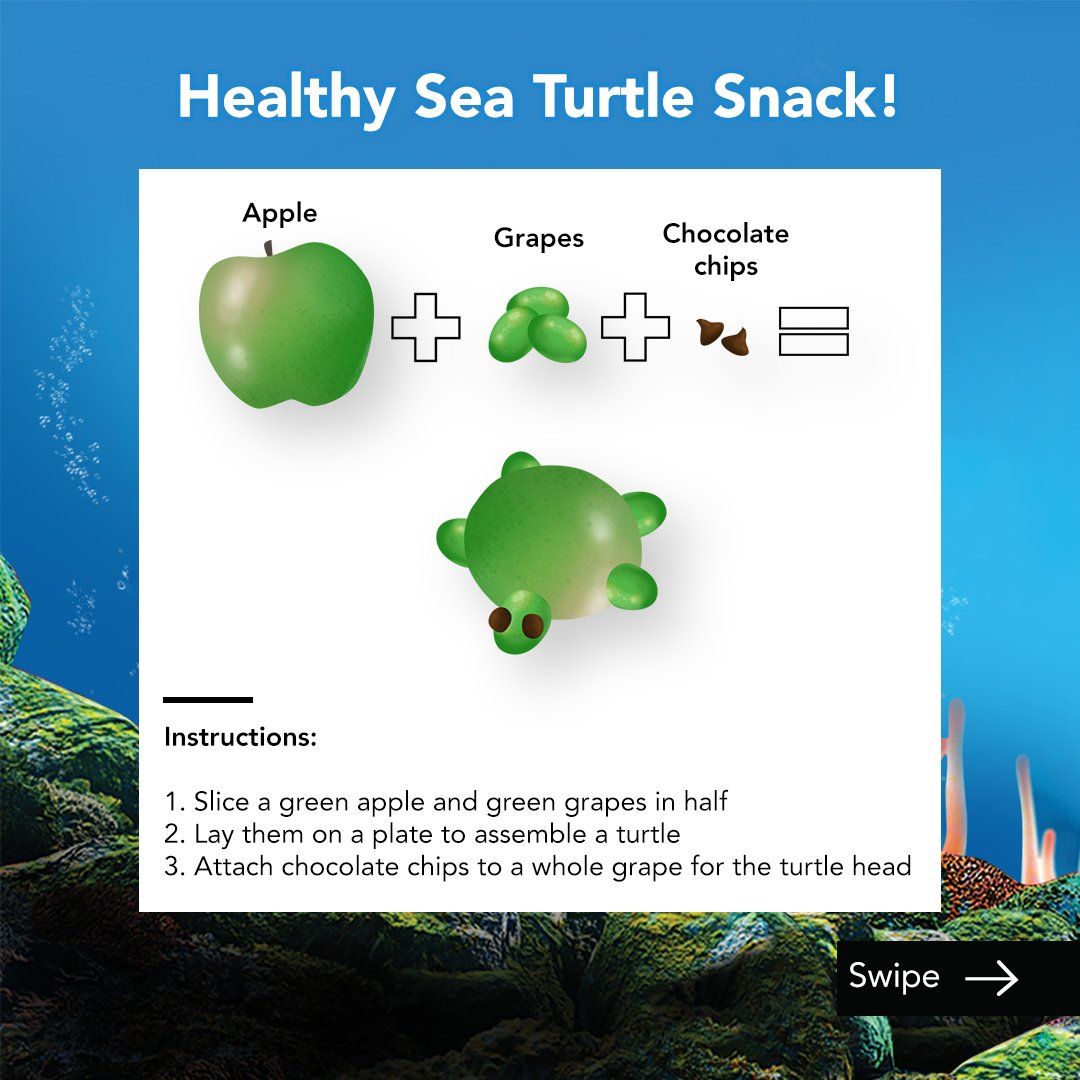 TheCase4Christ's tweet photo. Are you looking for a fun movie to enjoy with the family? Watch "A Turtle's Tale" and enjoy a snack inspired by the movie! We'd love to see photos of you sharing this treat with your kiddos! Use the hashtag #FamilyFridays https://t.co/I3jCYqKjl3