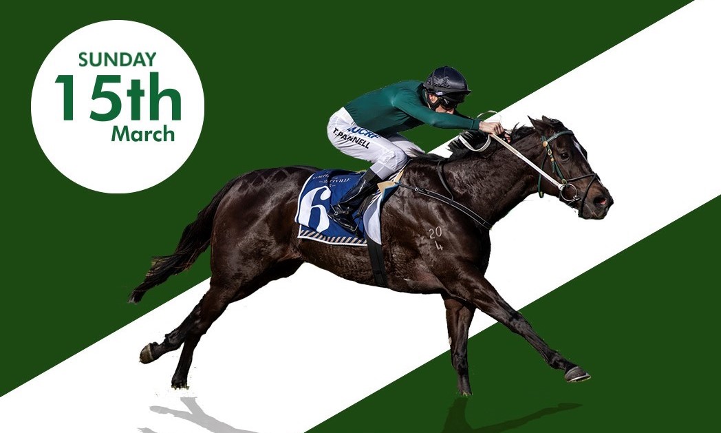 Racing SA on Twitter "A message from the Clarken_Racing team. "Please