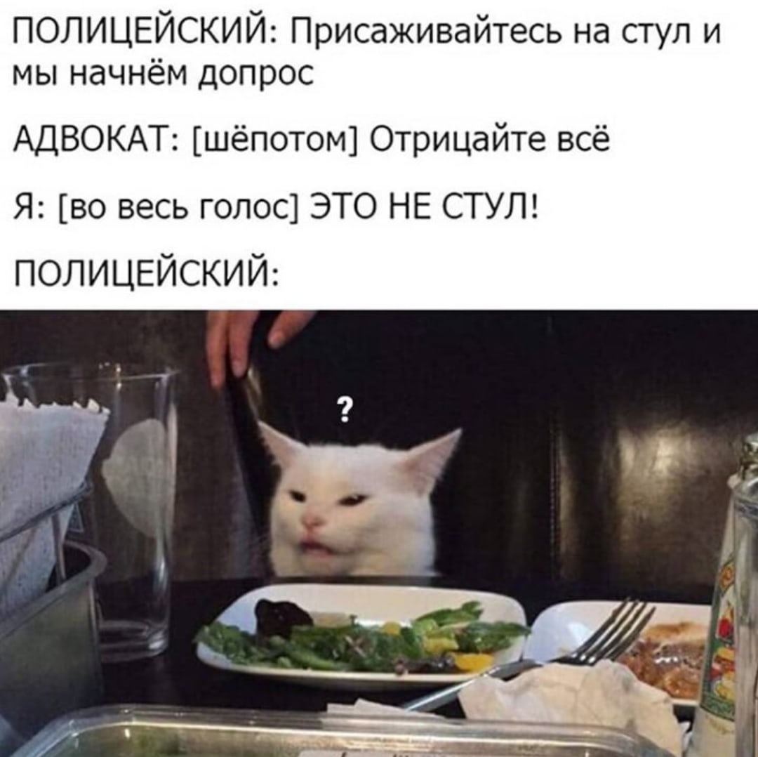 Кот Гацек