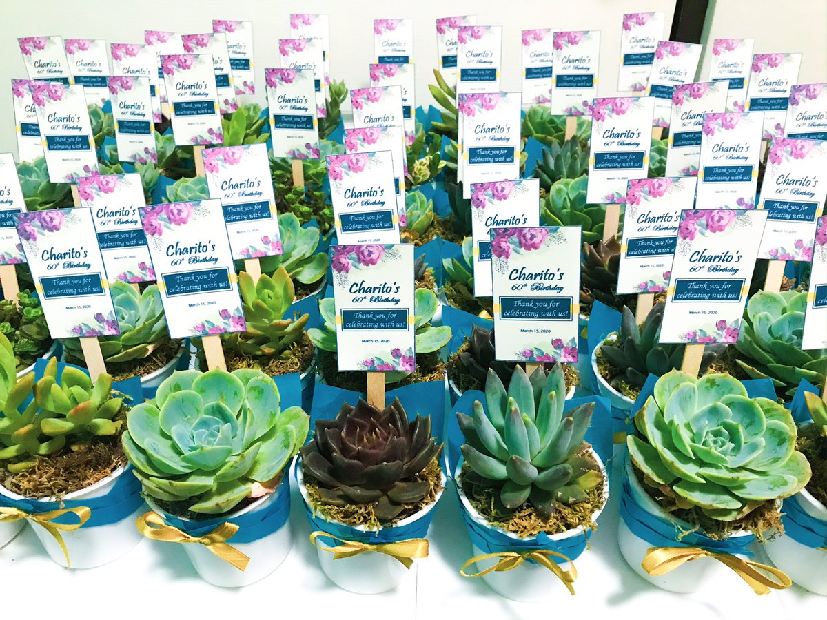 EpochPh's tweet photo. Succulents in personalized designed pots as birthday favors for Daddy Charito of Bataan. Thank you Miss Mimay for choosing Epoch as your giveaways supplier! โจ๐ฟ
#souvenirsph #giveawaysph #cactusph #succulentsph #eventsph #giveaways #souvenirs #giftsph #partyph #partyfavorsph https://t.co/gLvKqyog0O