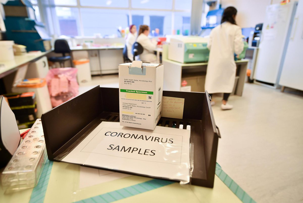 ES3QDMzUwAQ7G7S?format=jpg&name=medium