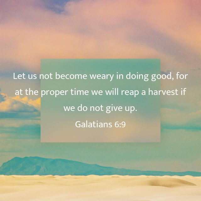 first_hollywood's tweet photo. Day 15 of INCREASE Focus!!
Pray for our teachers and schools!
Scripture: Galatians 6:9
#FCOGHollywood https://t.co/AqDyf6K91w
