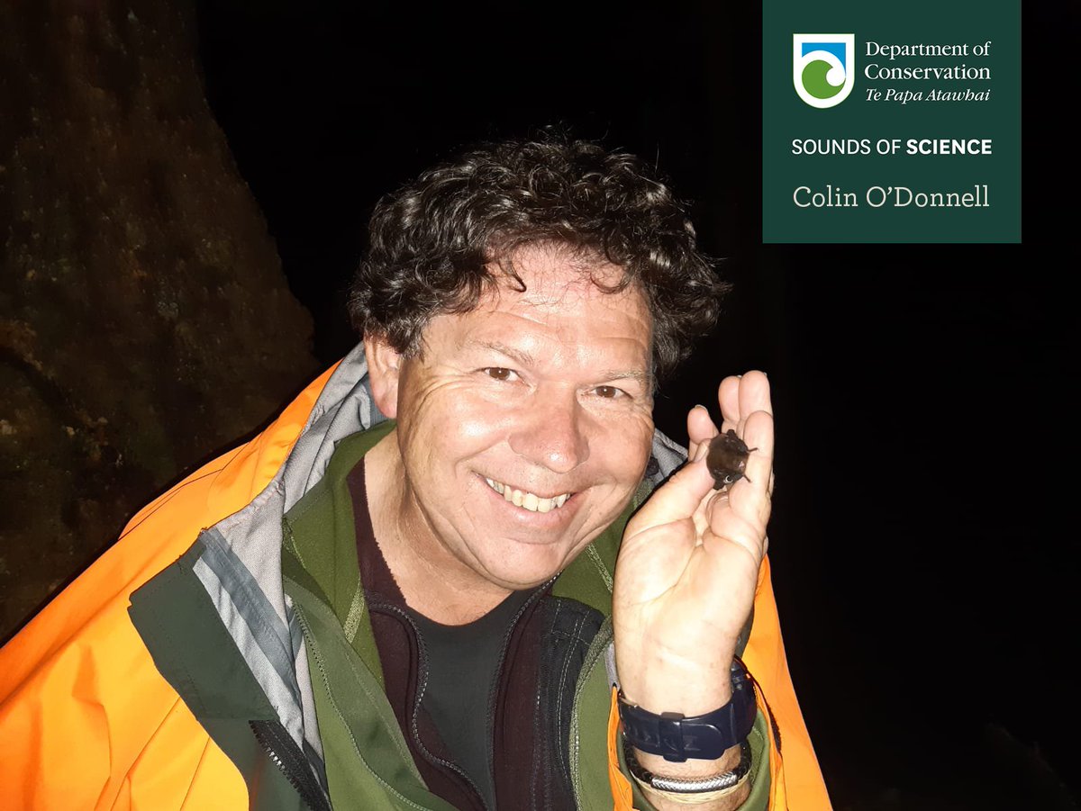Department of Conservation tweet media